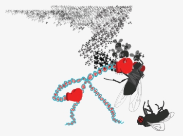Illustration, HD Png Download, Transparent PNG
