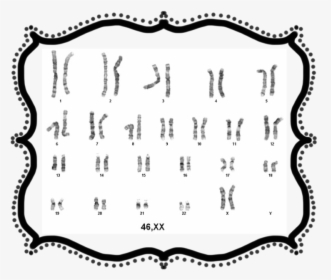 Illustration, HD Png Download, Transparent PNG