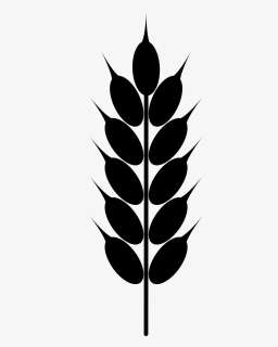 Clip Art Wheat - Wheat Png Black And White, Transparent Png, Transparent PNG