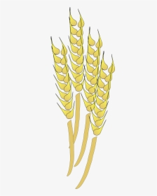 Wheat Clipart Wheat Stalk - Wheat Clip Art, HD Png Download, Transparent PNG