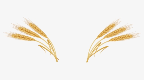 Wheat Ear Royalty - Transparent Ear Of Wheat, HD Png Download, Transparent PNG