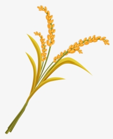 Millet Plant Png, Transparent Png, Transparent PNG