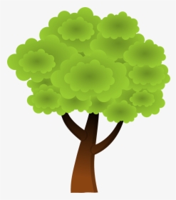 Sustainable Tree, HD Png Download, Transparent PNG