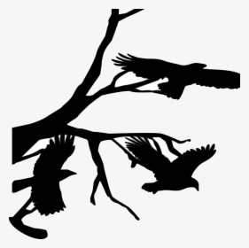 Three, Crows, Raven, Flying, Branch, Branches, Bird - Crow On Branch Silhouette Png, Transparent Png, Transparent PNG