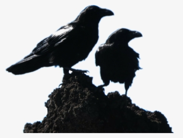 2 Black Crows, HD Png Download, Transparent PNG
