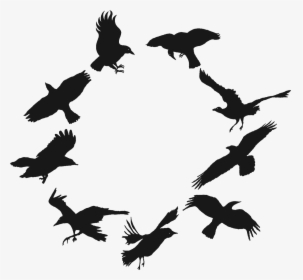 9 Morgen Crows - Flock Of Crows Png, Transparent Png, Transparent PNG