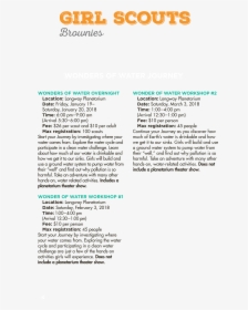 Document, HD Png Download, Transparent PNG