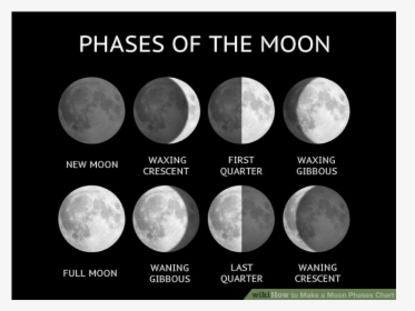Phase Is The Moon In Tonight, HD Png Download, Transparent PNG