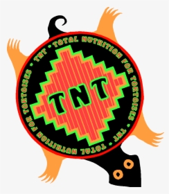 Tnt Tortoise, HD Png Download, Transparent PNG
