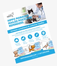 Veterinary Software Reminder Postcards - Flyer, HD Png Download, Transparent PNG