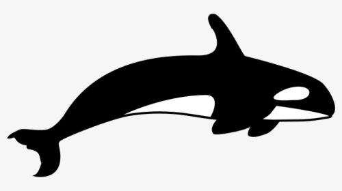 The Orca - Killer Whale Clipart Black And White, HD Png Download, Transparent PNG