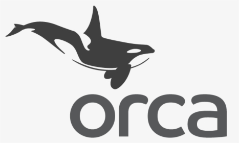 Orca - Orca Server, HD Png Download, Transparent PNG