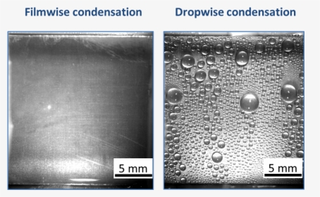 Dropwise Condensation And Filmwise Condensation, HD Png Download, Transparent PNG
