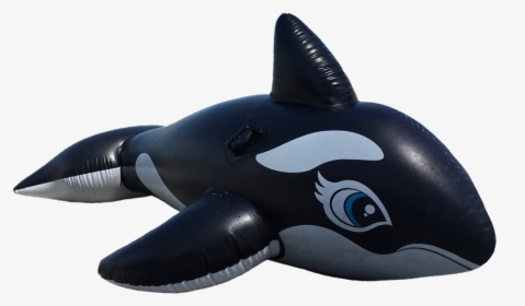 Wal, Killer, Orca, Marine Mammals, Float, Toys - Schwimmhilfe Png, Transparent Png, Transparent PNG