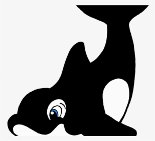 Orca Clipart Octonauts - Cute Killer Whale Drawing, HD Png Download, Transparent PNG