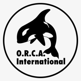 Orca International Logo Png Transparent - Killer Whale, Png Download, Transparent PNG