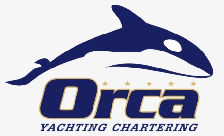 Orca Clipart Small - Killer Whale, HD Png Download, Transparent PNG
