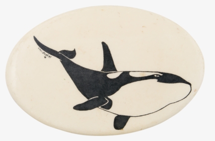 Orca Whale Art Button Museum - Killer Whale, HD Png Download, Transparent PNG
