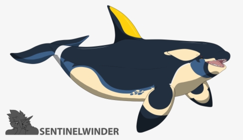Dakota Orca - - Killer Whale, HD Png Download, Transparent PNG