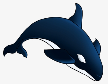How To Draw Orca - Draw A Orca Easy, HD Png Download, Transparent PNG