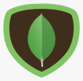 Mongodb Icon, HD Png Download, Transparent PNG