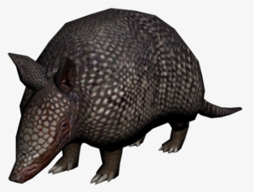 Armadillo - Red Dead Armadillo Animal, HD Png Download, Transparent PNG
