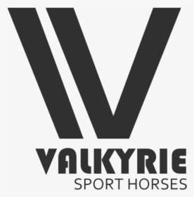 Valkyrie Option 1 - Graphics, HD Png Download, Transparent PNG