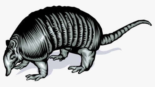 Vector Illustration Of Fully Armored Armadillo With - Illustration, HD Png Download, Transparent PNG