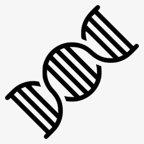 Biology Dna Genetic Subject - Biology Png, Transparent Png, Transparent PNG