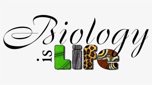 Biology Project Cover Page, HD Png Download, Transparent PNG