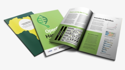Transparent Plant Png - Brochure, Png Download, Transparent PNG