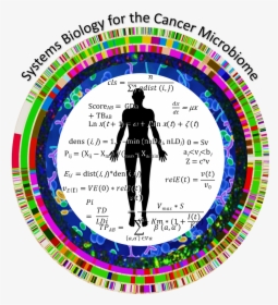 Systems Biology For The Cancer Microbiome Logo - Circle, HD Png Download, Transparent PNG