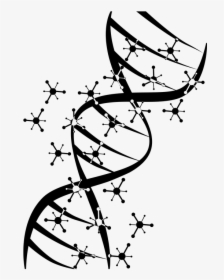 Genetic, Science, Dna, Biology - Biyoloji Png, Transparent Png, Transparent PNG