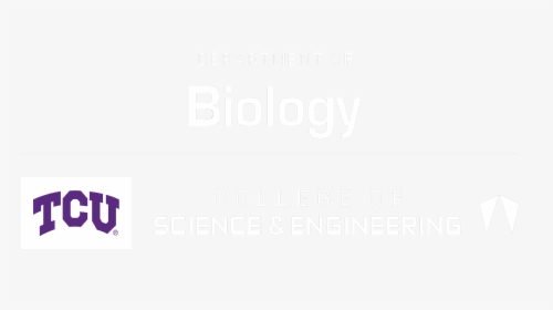 Tcu Department Of Science & Engineering - Tcu Biology Department, HD Png Download, Transparent PNG