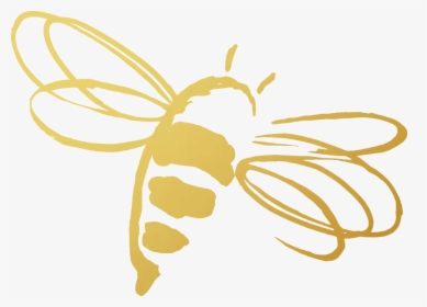 The Royal Revitalize Challenge - Jafra Royal Jelly Bee, HD Png Download, Transparent PNG