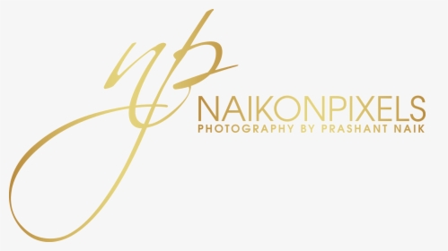Naikonpixels - Calligraphy, HD Png Download, Transparent PNG