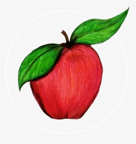 Attribute Motif Apple White - Mcintosh, HD Png Download, Transparent PNG