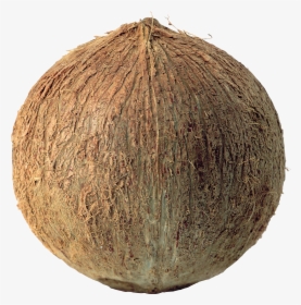 Vegetable, HD Png Download, Transparent PNG