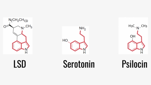 Chemical Structure Of Serotonin, Lsd And Psilocin - Молекула Лсд И Серотонина, HD Png Download, Transparent PNG