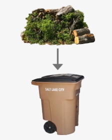 Green Waste Belongs In The Brown Compost Bin - Christmas Tree, HD Png Download, Transparent PNG