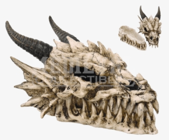 Dragon Skull Png, Transparent Png, Transparent PNG