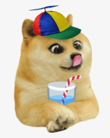 Lil Doge With His Water, HD Png Download, Transparent PNG