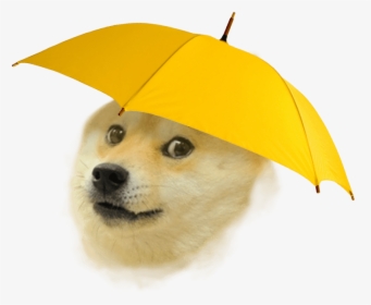 Rain Doge , Png Download, Transparent Png, Transparent PNG