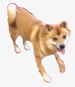 Dancing Doge, HD Png Download, Transparent PNG