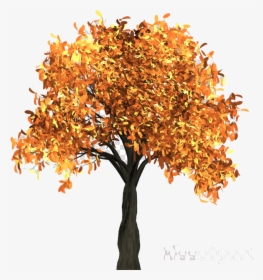 Fall Tree Transparent Clipart Clip Art Png, Png Download, Transparent PNG