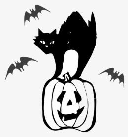 Black Cat Halloween Clipart On Pumkin Indis Site Transparent, HD Png Download, Transparent PNG