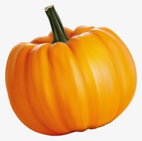 Pumkin PNG Images, Transparent Pumkin Image Download - PNGitem