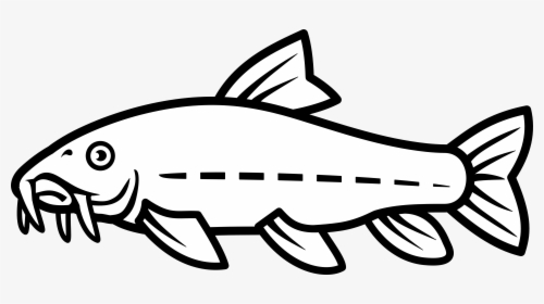 Catfish Vector By Nico, HD Png Download, Transparent PNG