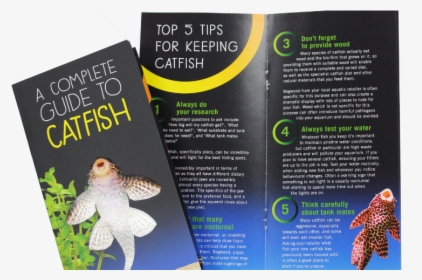 ‘catfish Need More Than Algae’, Claims New Campaign, HD Png Download, Transparent PNG