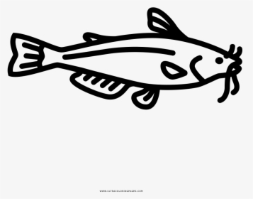 Catfish Coloring Page, HD Png Download, Transparent PNG